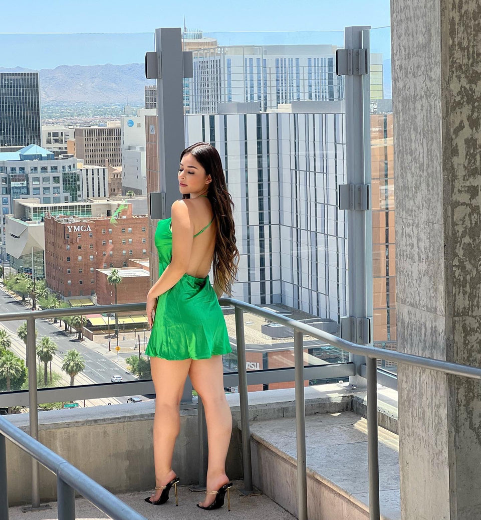 No Introduction Needed Dress