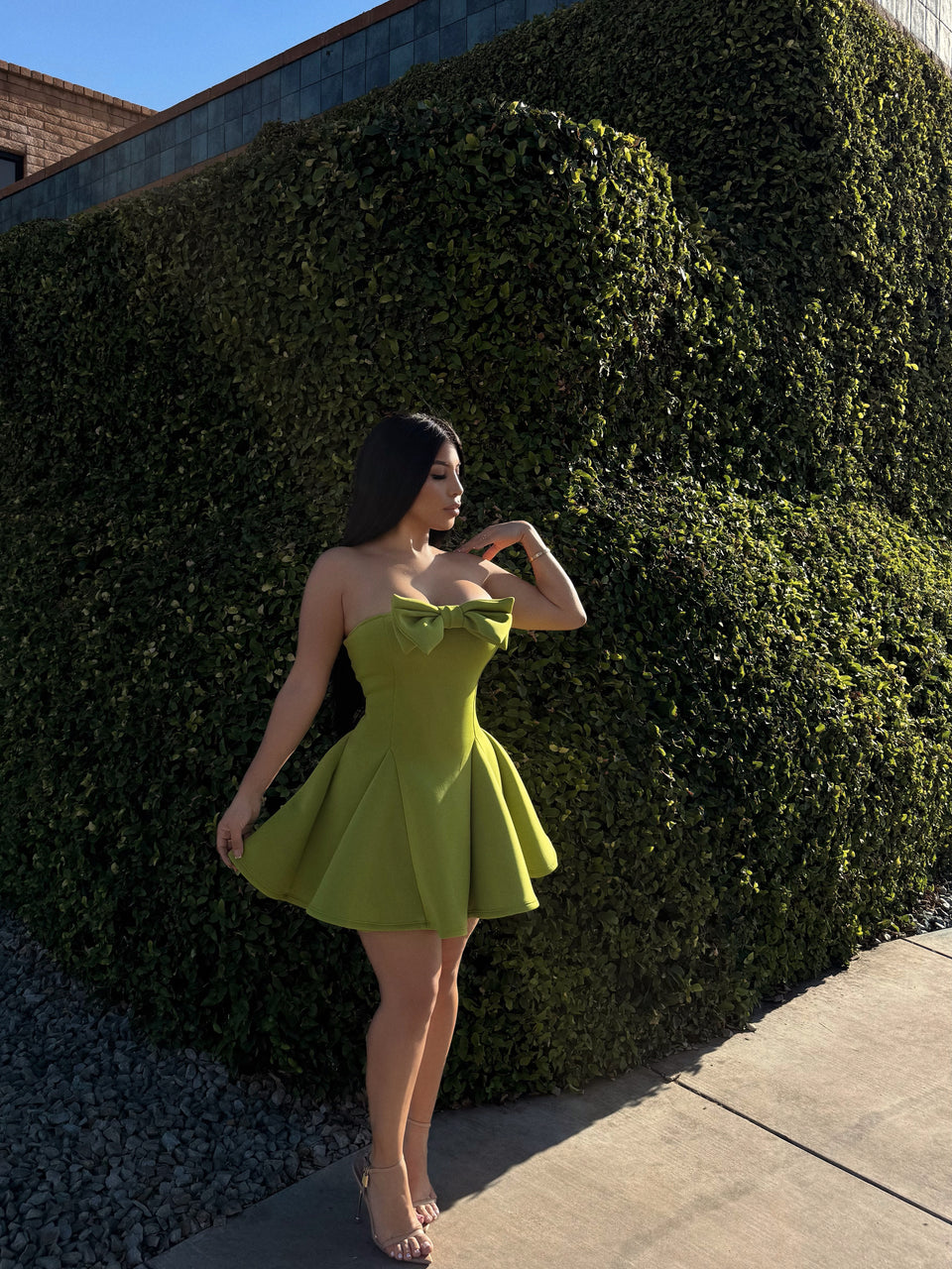 Flirty Piece Dress