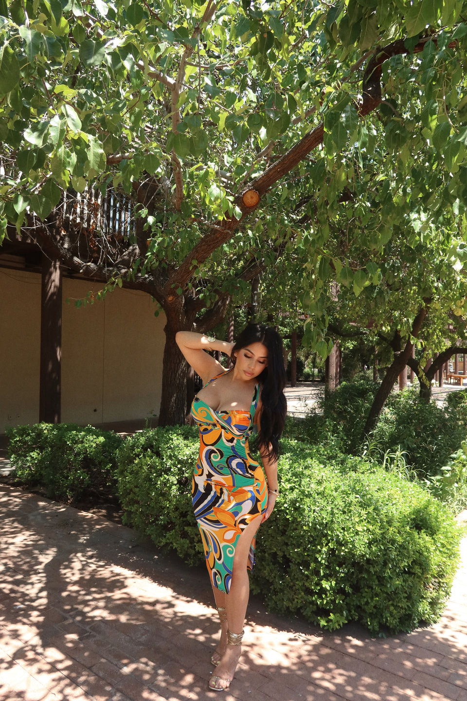 Puccini Dress